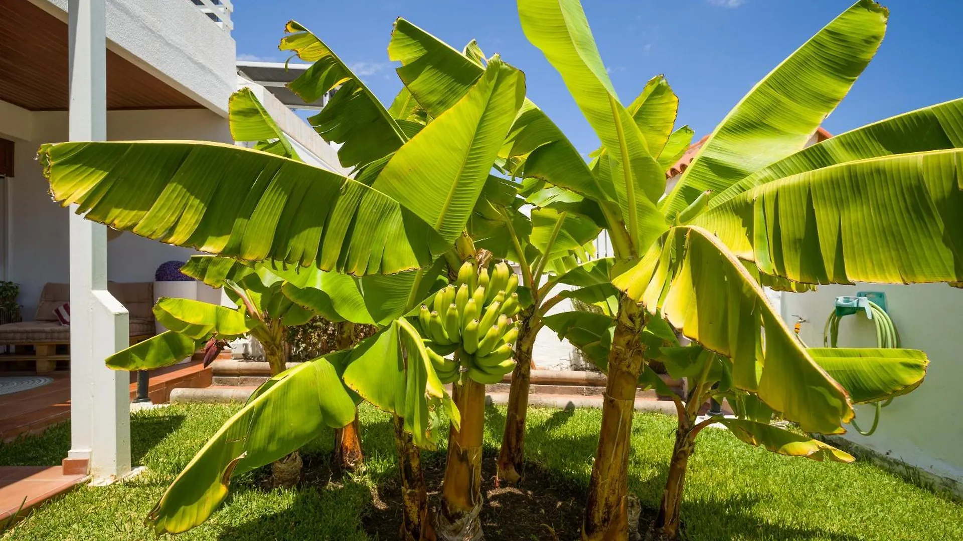 Holiday home Banana House In Top Location By Tenpropertiesgc Maspalomas